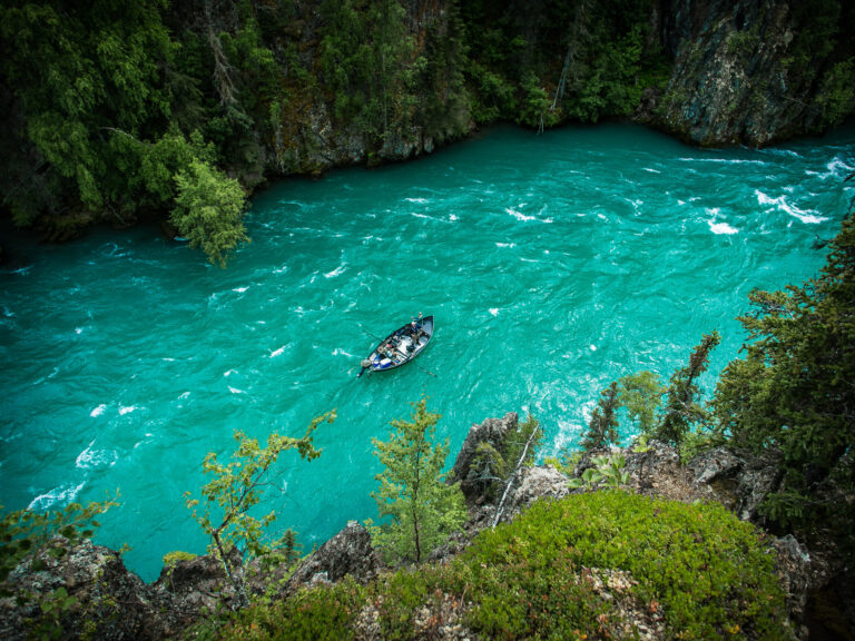 Kenai River Fish Count: Your Comprehensive Fishing Guide on the Kenai River